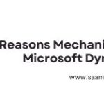 Microsoft Dynamics 365 ERP